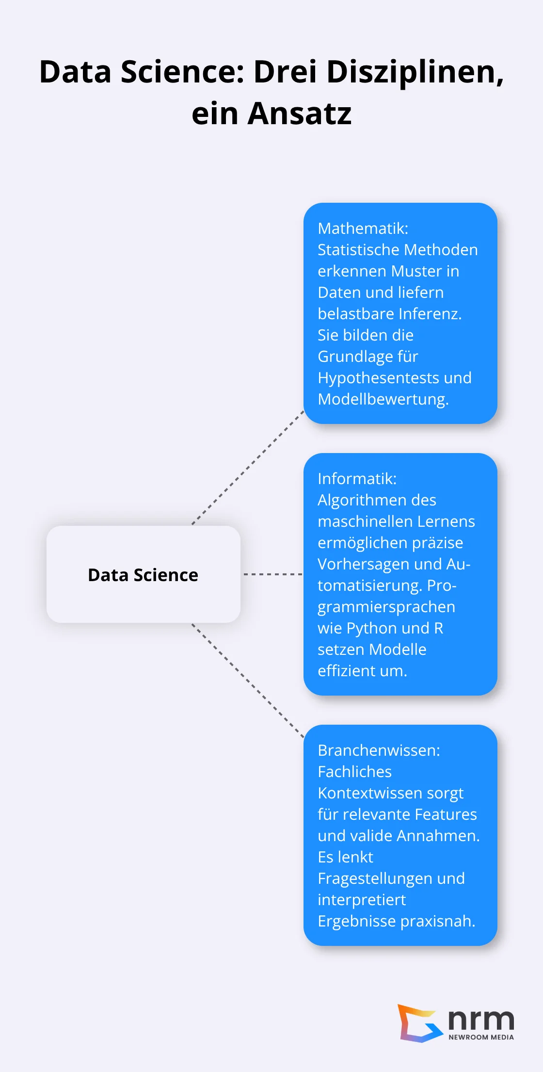Grafik zeigt Data Science als Schnittmenge aus Mathematik, Informatik und Branchenwissen mit Erklärungen.