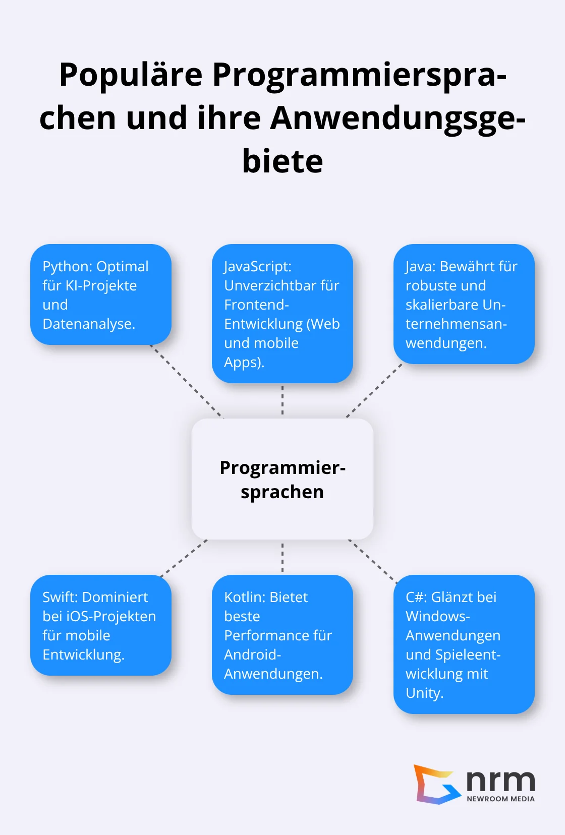 Ein Hub-and-Spoke-Diagramm, das verschiedene Programmiersprachen und ihre Hauptanwendungsgebiete zeigt. Im Zentrum steht 